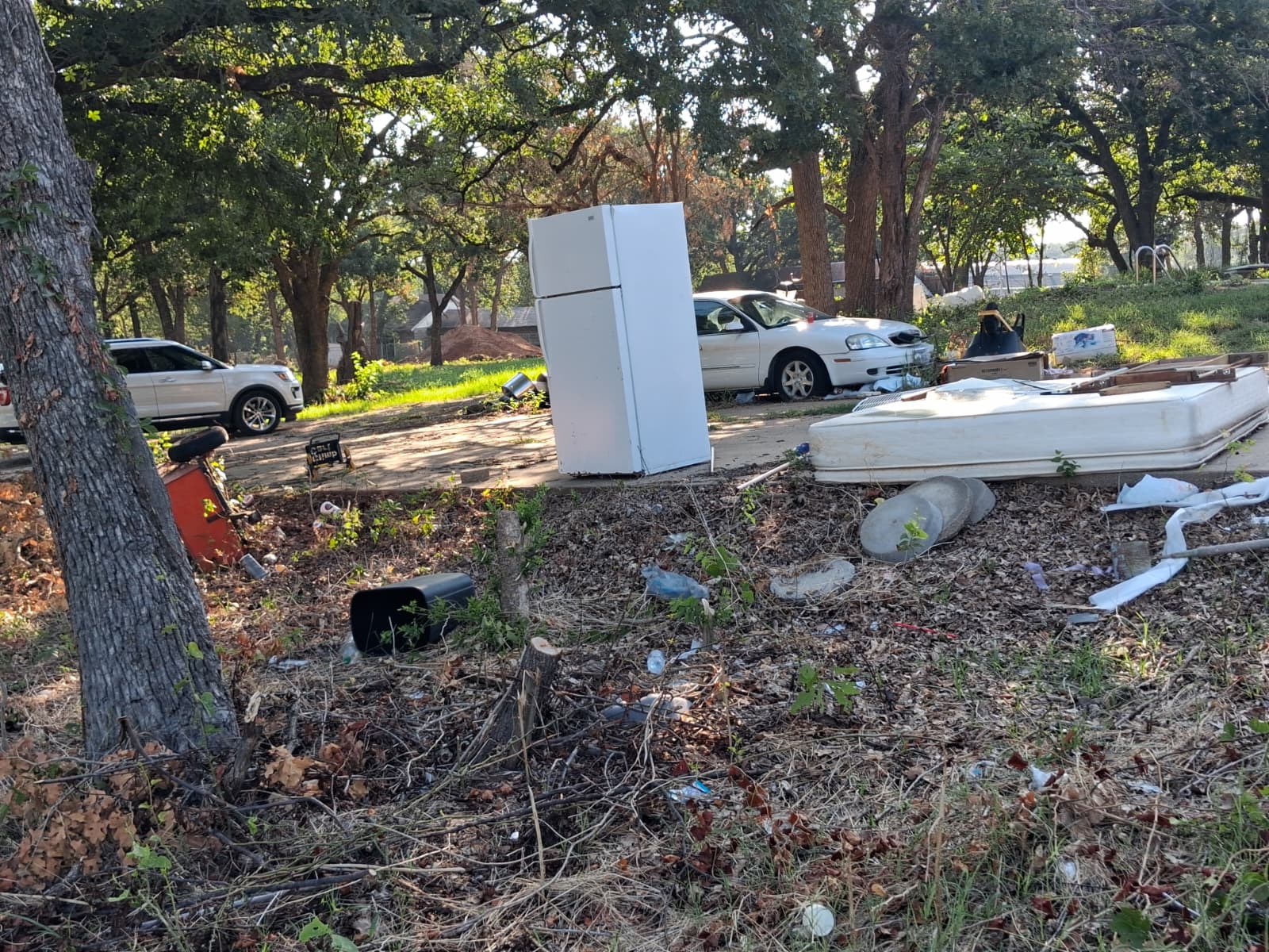 Junk Removal Project 2