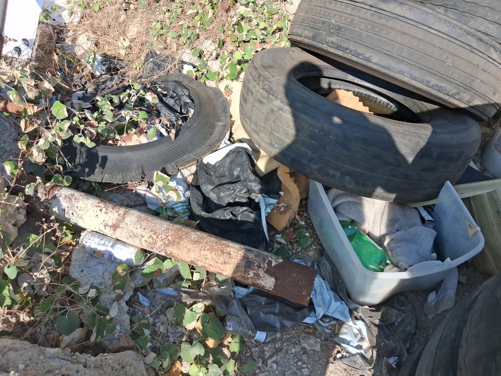 Junk Removal Project 8